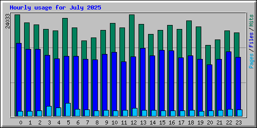 Hourly usage for July 2025