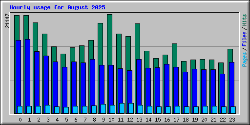 Hourly usage for August 2025